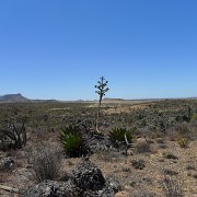 Baja2011 149 : Baja2011